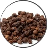Bioperine